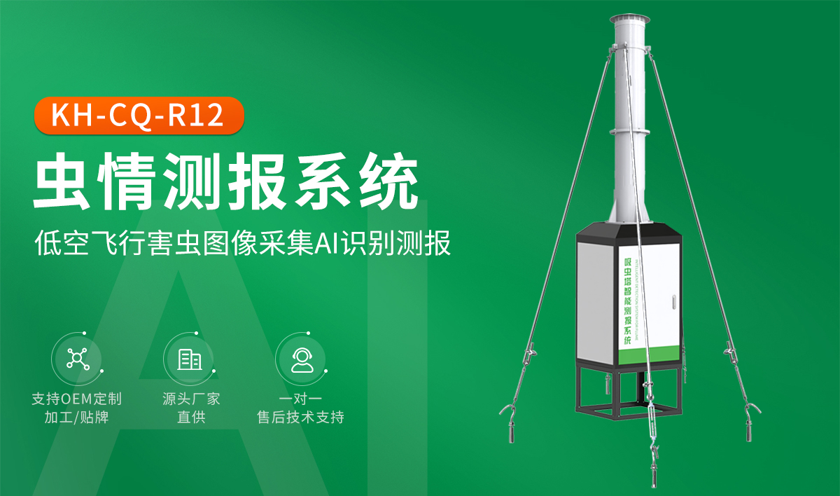 R12蟲情頭圖.jpg