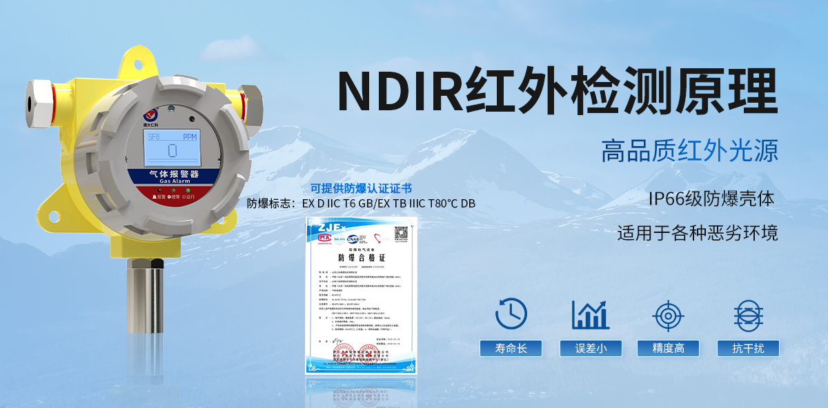 六氟化硫氣體變送器（防爆殼）_02.jpg